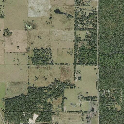 Local brush fire on South Lecanto Highway