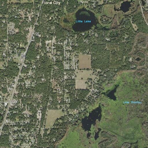 Person reporting body swelling and illness at home