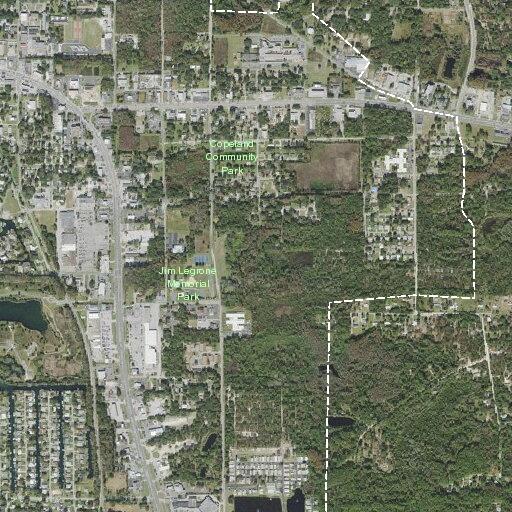Fire alarm at Winn-Dixie in Crystal River