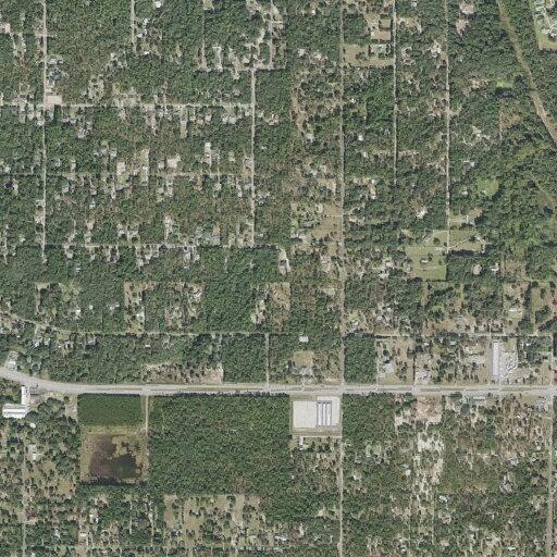 87-year-old woman with head injuries in Hernando