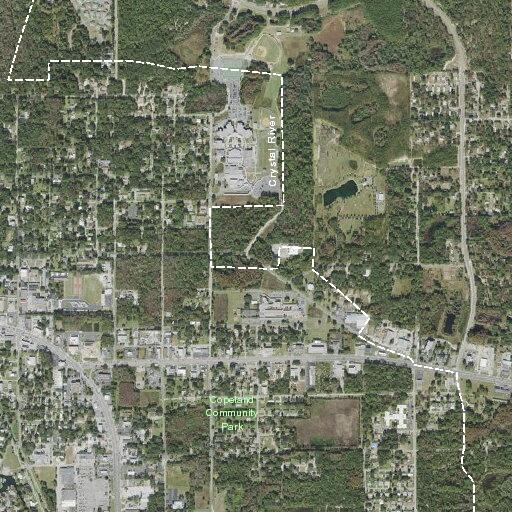 Person having seizure near Crystal River
