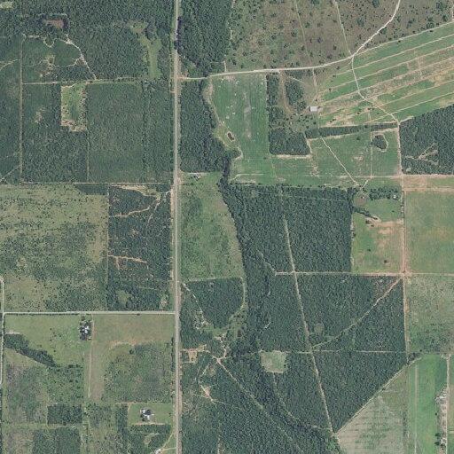 Large tree limb blocking County Road 640