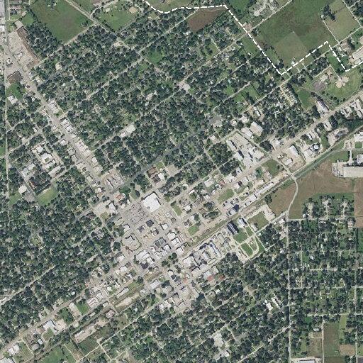 Emergency dog bite near East Fifth Street in El Campo