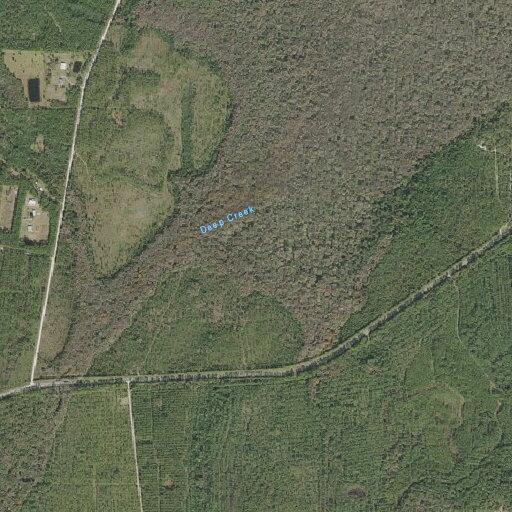 Male subject falls near FL-40 in De Leon Springs