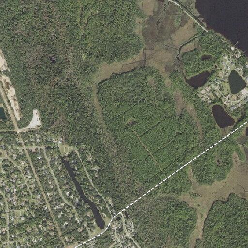 Person with diabetic issue near Pine Tree Drive