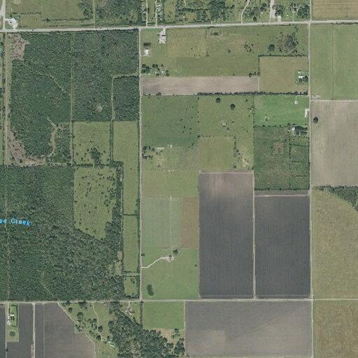 Man tackles woman in field at rural property