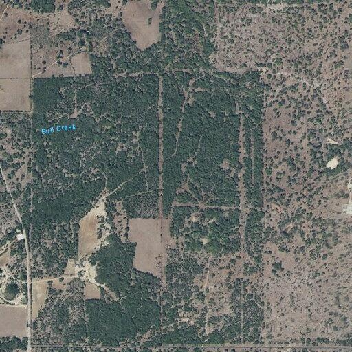 Cow removed from roadway near Hondo property