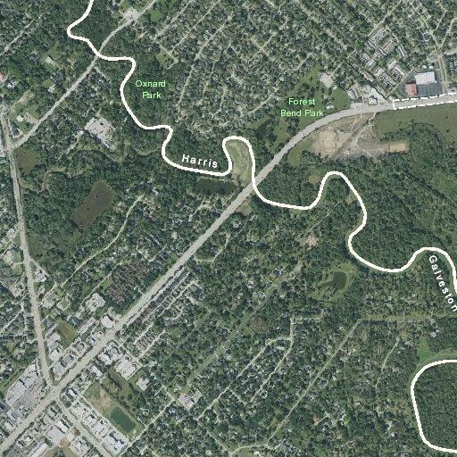 81-year-old woman with prolapsed anus at East Parkwood