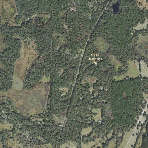 Vehicle hits small alligator on South Williston Road