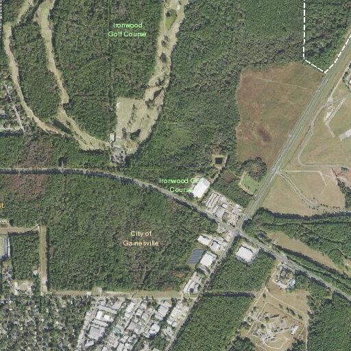 Person with diabetic problem near Gainesville