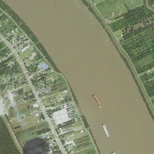 77-year-old man with low blood pressure at Belle Chasse