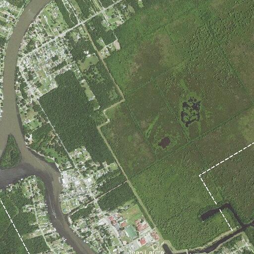 Tree blocking roadway removed on Jean Lafitte Blvd
