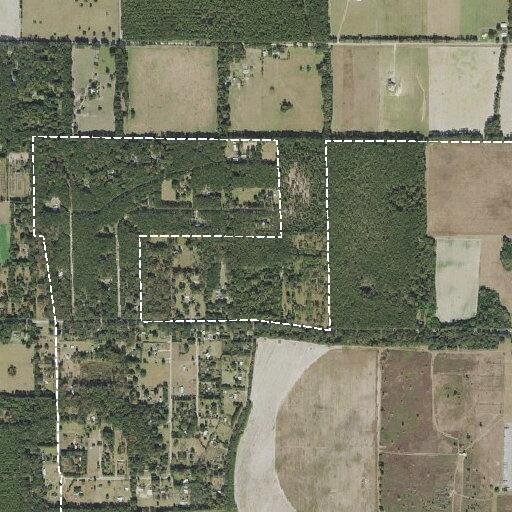 Woman with chest and left arm pain in Alachua