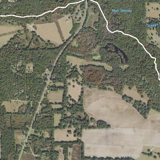 Person fallen at North State Road 235, Brooker, FL