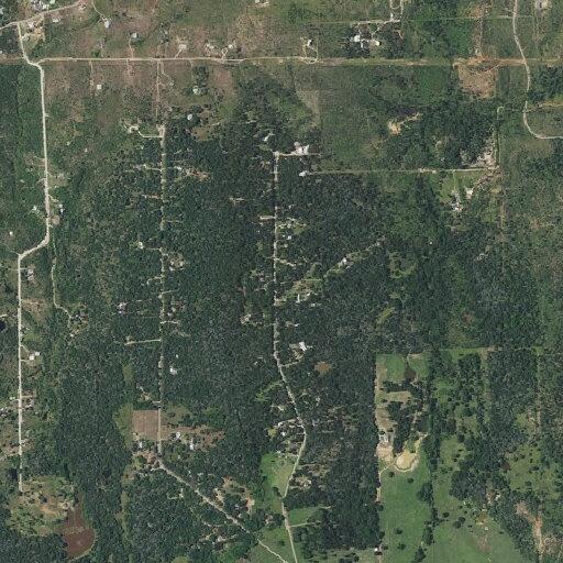Person bitten by dog near Powell Road