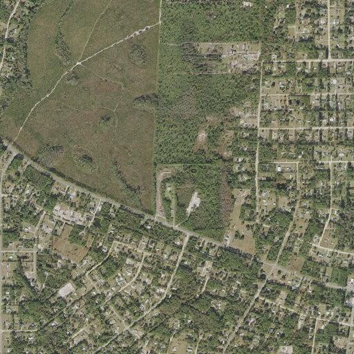 Small tree fire near Cosmos Avenue