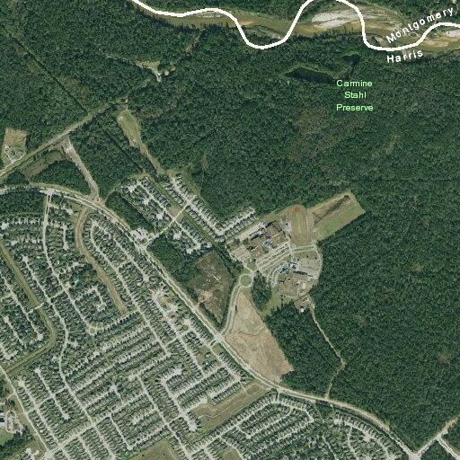 Juveniles running in traffic on Cypresswood Drive