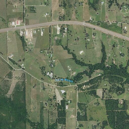 Cows reported in roadway near Trackside Road in Chappell Hill