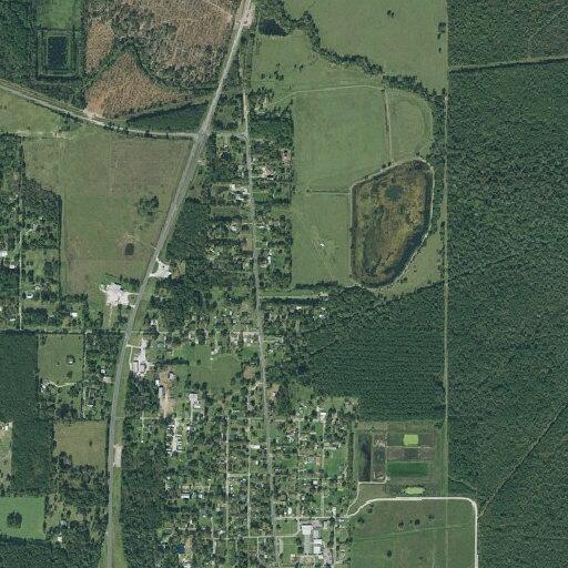 Large tree blocking County Road 2436 and 2432