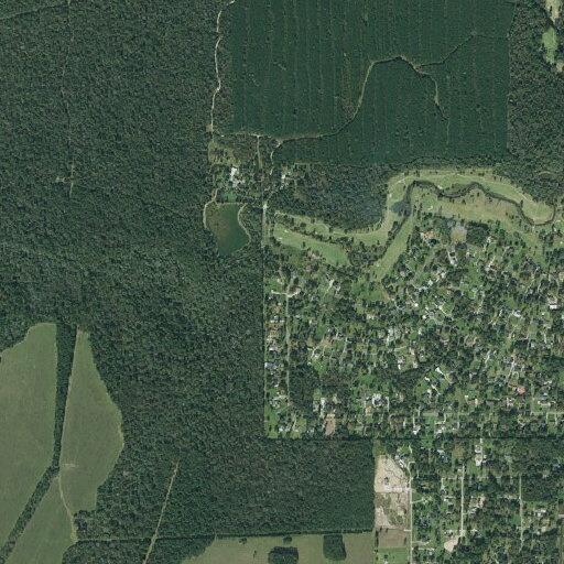 Reckless driver near Piney Point in Sour Lake