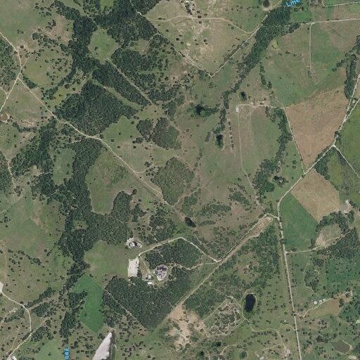 Loose cattle reported on County Road 127