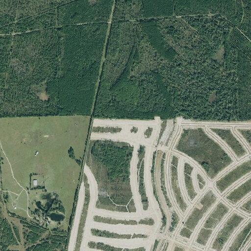 Criminal trespass reported near Road (number withheld) in Liberty County