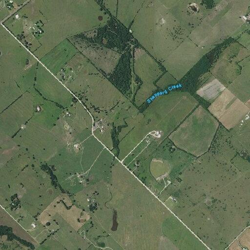 Bull found loose on private property