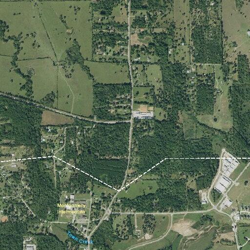 Power line ignites tree fire on Cascading Springs Way