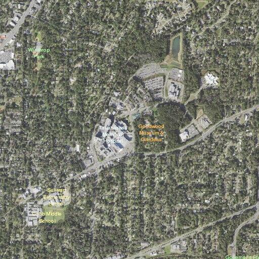 Woman loitering outside Tallahassee hospital