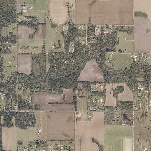 Elderly woman fell near Lacey Circle, needs assistance
