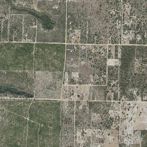 64-year-old male with altered mental status and abdominal pain
