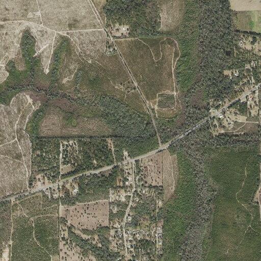 Female with stomach pain and vomiting near Davis Lane