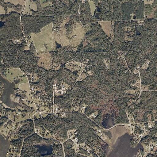 Animal bite incident near Bull Creek Drive West