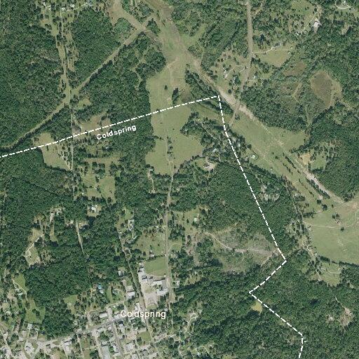 Animal problem reported on Williams Lane