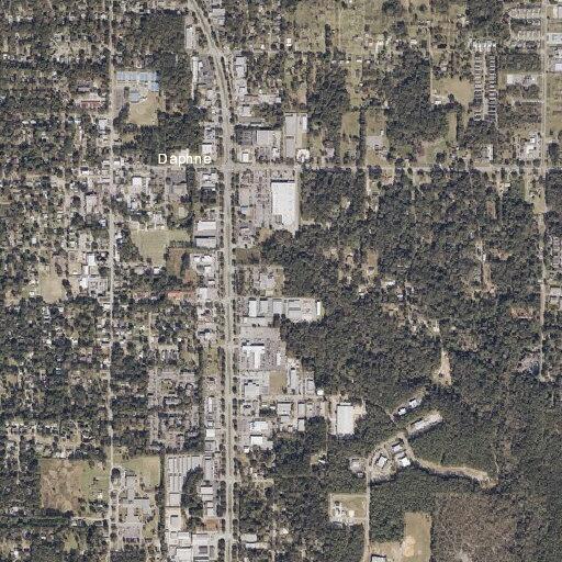 Juvenile with suicidal ideations at Daphne police substation