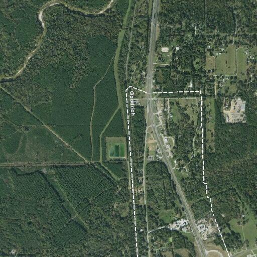 Animal incident reported on State Highway Loop