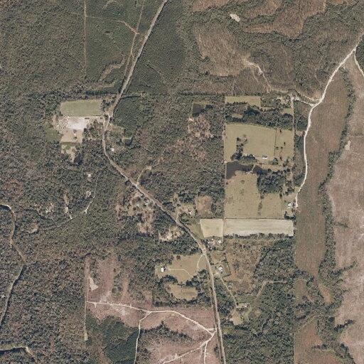 Female vomiting after overnight in woods at Tally Shaw Rd