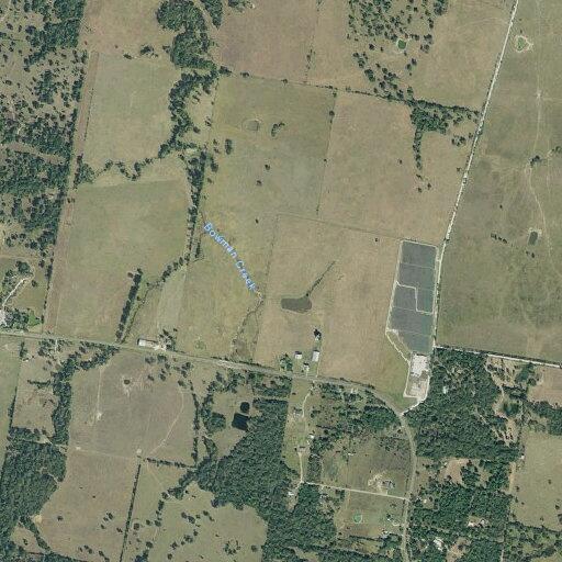 Vehicle hits cow on FM 1696, no injuries