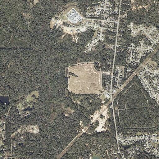 Person fainted near Celeste Road in Saraland