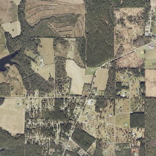 Person with diabetic emergency at Georgetown Estates Dr