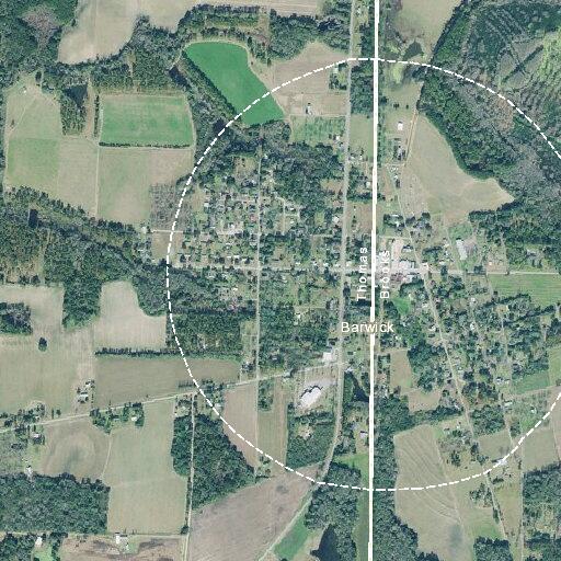 Brush fire near home on East Coffee Street