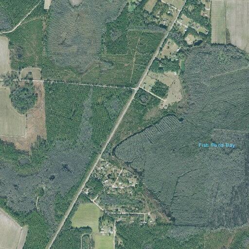Woman vomiting blood near Cook Lane in Naylor