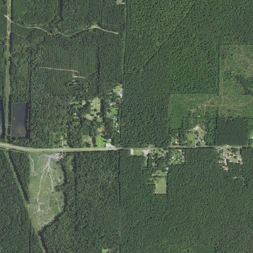 Tree partially blocking roadway on Highway 113