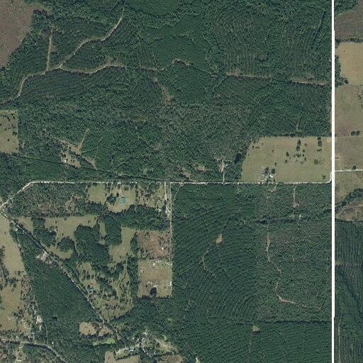 Medical call near Piney Woods Road in Trinity, TX