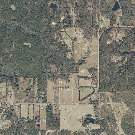Person with altered mental status in Citronelle