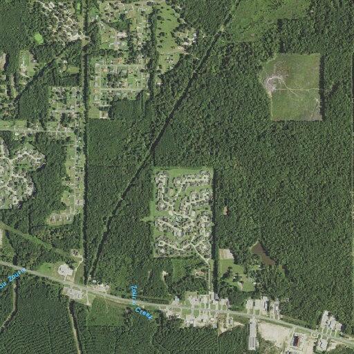 Assist Leesville City with suicidal subject near J.R. Surplus Store