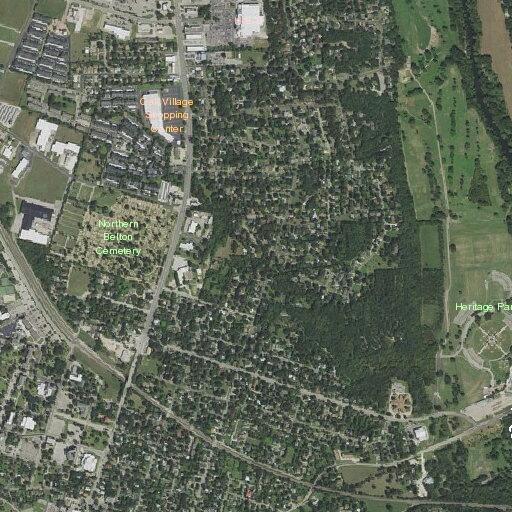 66-year-old man falls, conscious and breathing in Belton