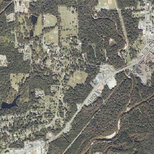 77-year-old woman has chest pain in Brewton