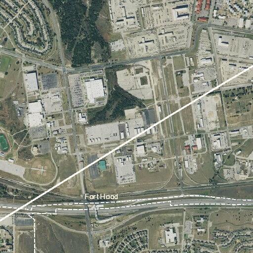 Loose husky running near North Washington Street