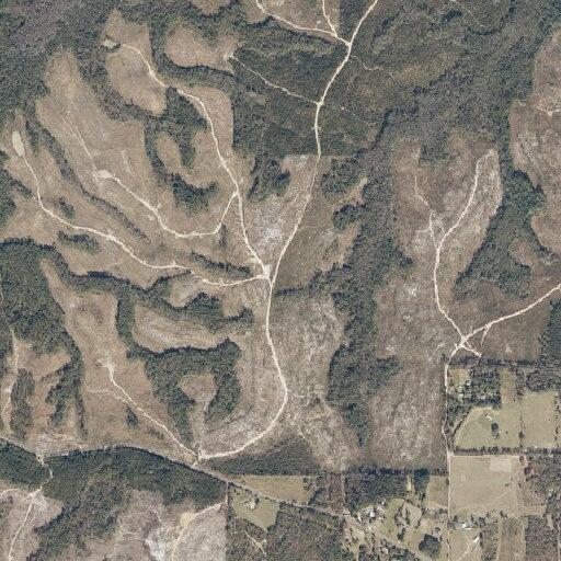 Person assaulted on Sam Lewis Road in Citronelle